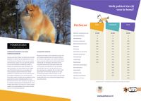 pet-secur-flyer-pomeranian-v1.page2